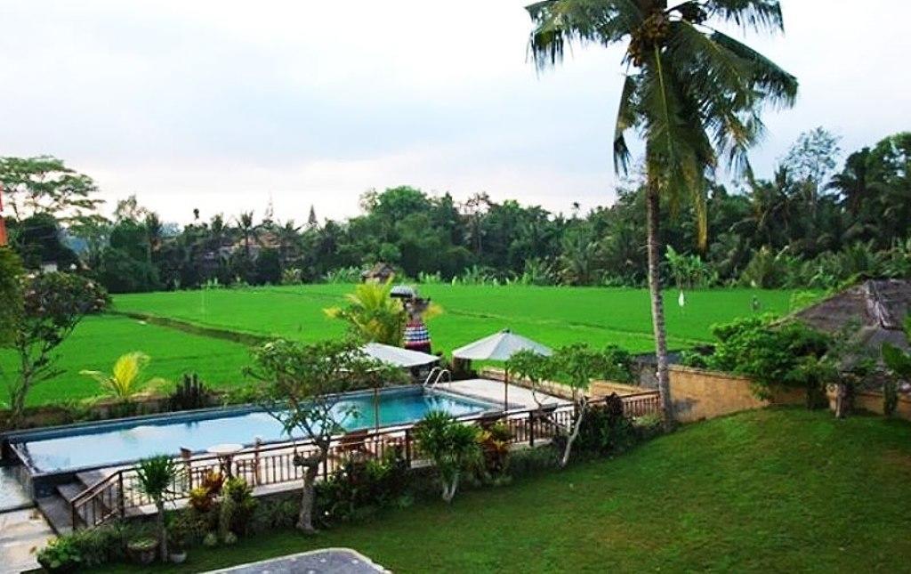 Nyoman Karsa Bungalow Ubud Buitenkant foto